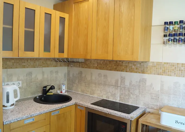 Apartment Gaudeamus Tartu